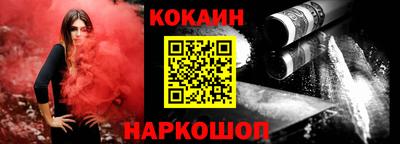 мдпв Кингисепп