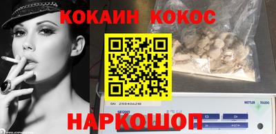 мдпв Кингисепп