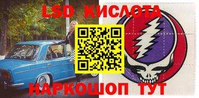 мдпв Кингисепп