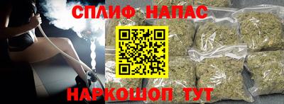 мдпв Кингисепп