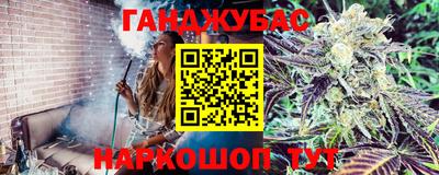 мдпв Кингисепп