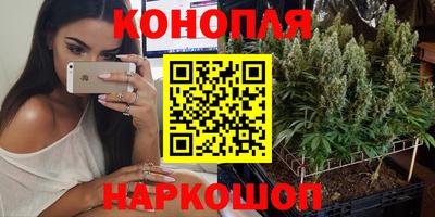 мдпв Кингисепп