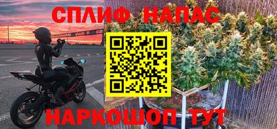 мдпв Кингисепп