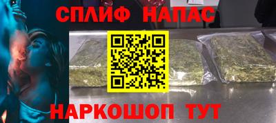 мдпв Кингисепп