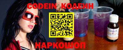 мдпв Кингисепп