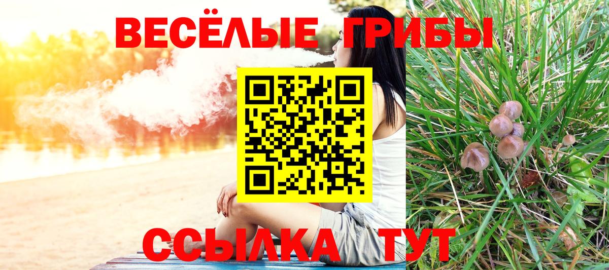 Псилоцибиновые грибы прущие грибы  Псилоцибиновые грибы прущие грибы  Элиста  Вход с VPN 