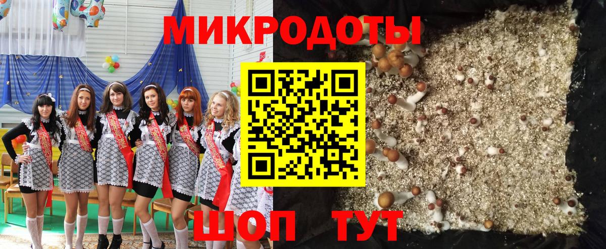 Псилоцибиновые грибы ЛСД Элиста